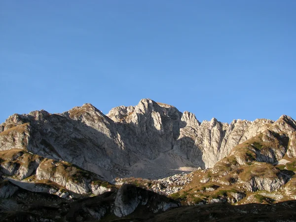 Caucase des montagnes — Photo