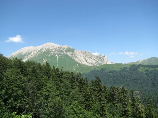 Главный Кавказский хребет — стоковое фото