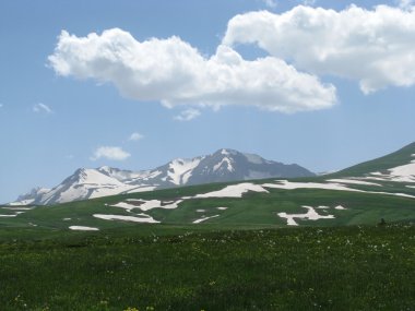 alpine meadows