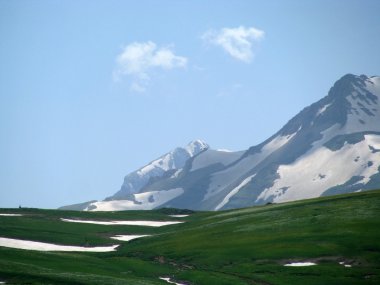 alpine meadows