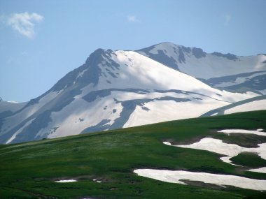 alpine meadows