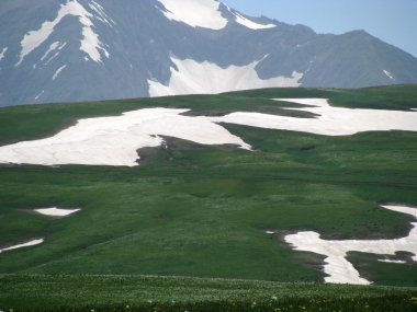 alpine meadows