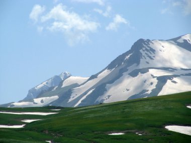 The Alpine meadows clipart