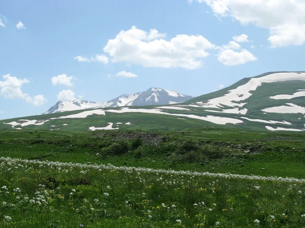 stock image The Alpine meadows