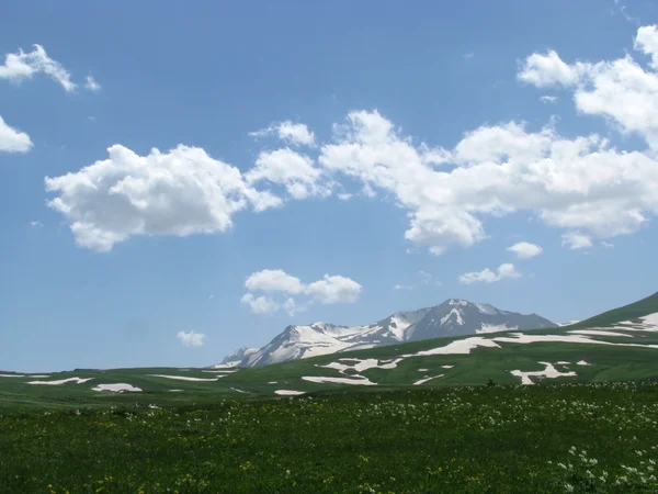 Stock image The Alpine meadows