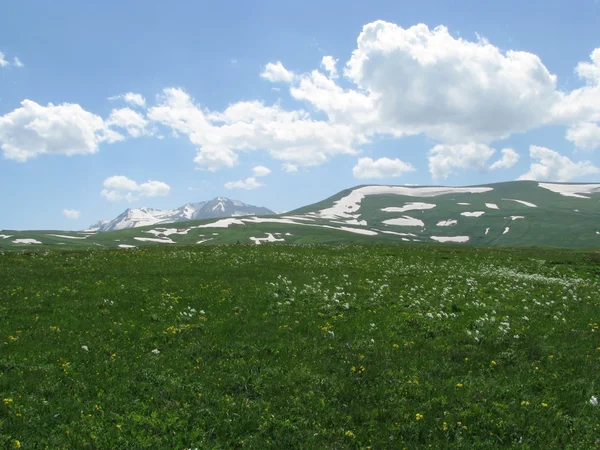 stock image The Alpine meadows