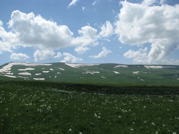 stock image The Alpine meadows