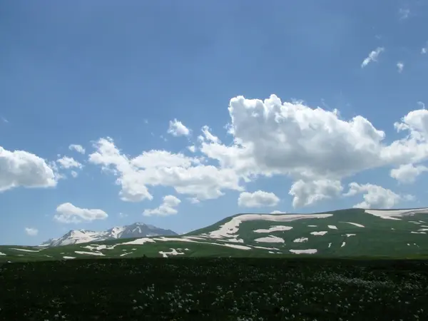 stock image The Alpine meadows