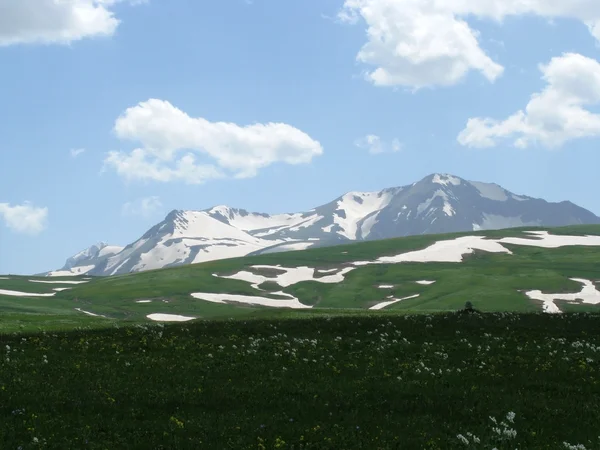 Stock image The Alpine meadows