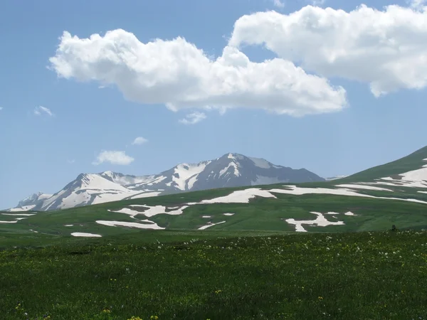 stock image The Alpine meadows