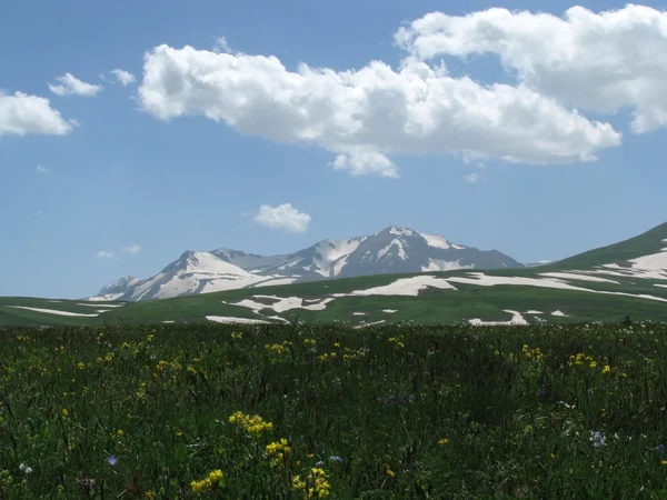 stock image The Alpine meadows