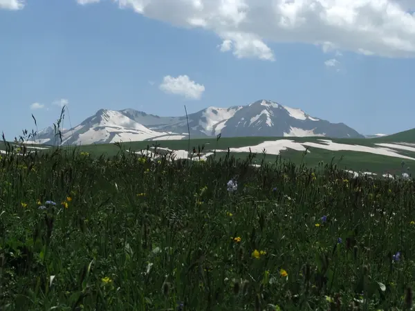 stock image The Alpine meadows