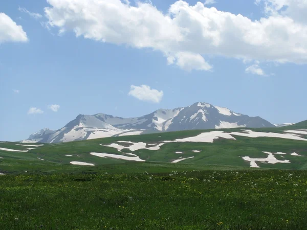 Alpejskie łąki — Zdjęcie stockowe