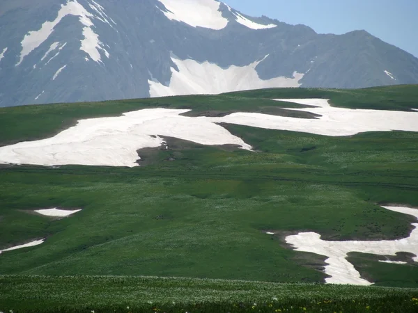 stock image The Alpine meadows