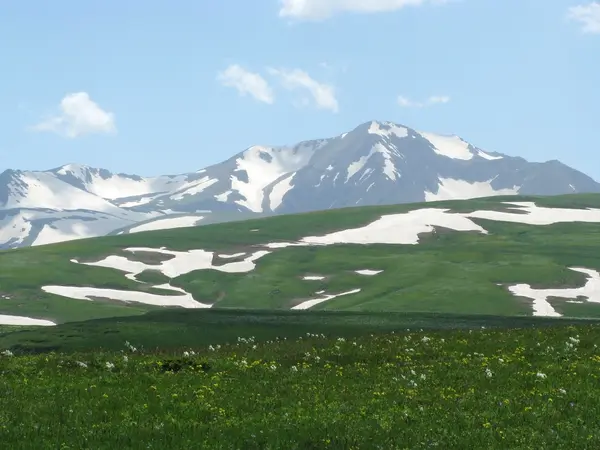 stock image The Alpine meadows