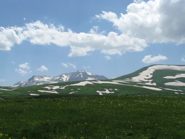 Alpejskie łąki — Zdjęcie stockowe