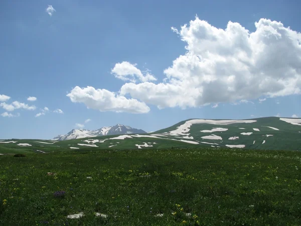 stock image The Alpine meadows