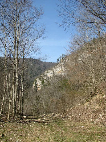 A kaukázusi ridge — Stock Fotó