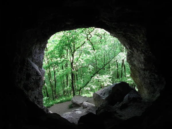 A cave — Stock Photo, Image