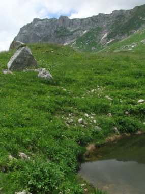 Dağ