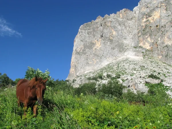 Erstaunliche Und Schöne Natur Des Kaukasus — Stockfoto