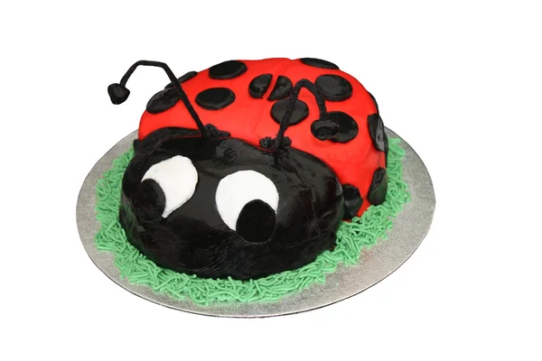 Ladybird Cake — Stock Photo, Image