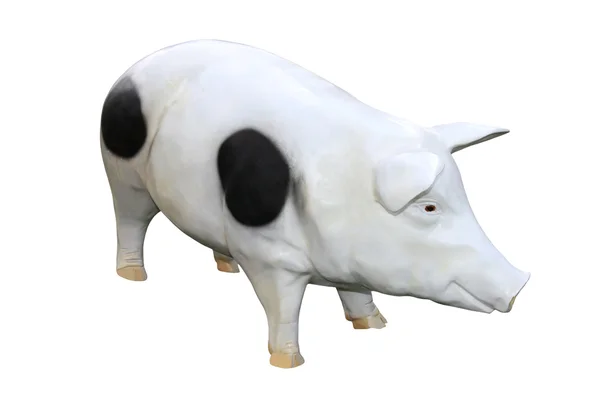 Model Pig — Stock Photo, Image