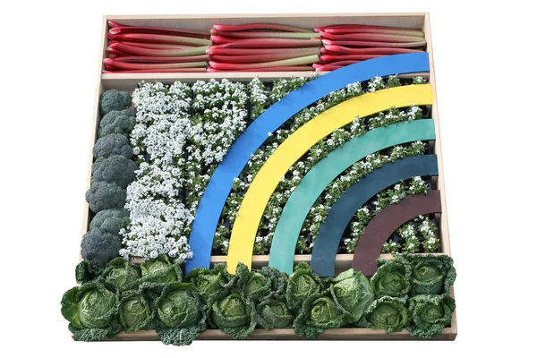野菜のディスプレイ — ストック写真