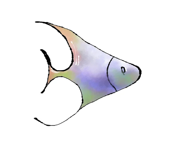 stock image Painted fish on a white background