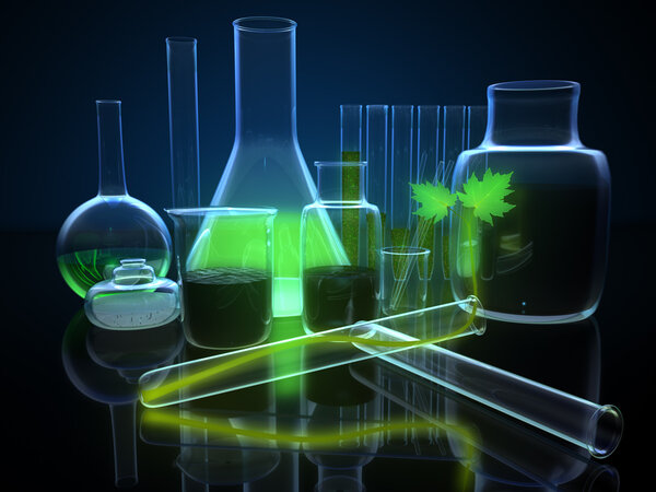 Green sprout in a glass flask