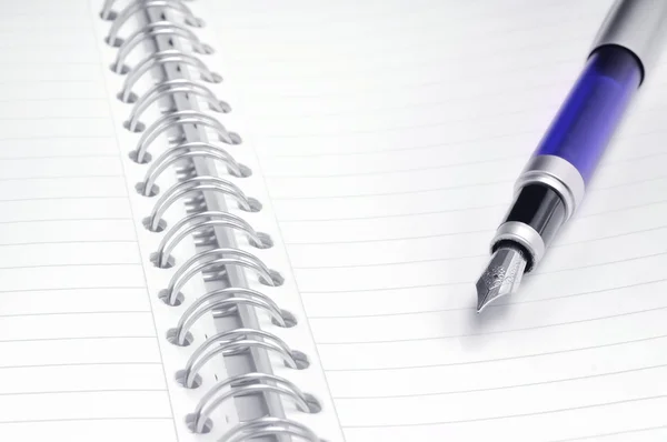 Geopende Notebook Een Pen Hetaçık Defteri Kalem Üzerine — Stok fotoğraf