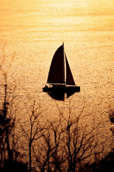 Silhouet Van Catamaran Zonsondergang — Stockfoto