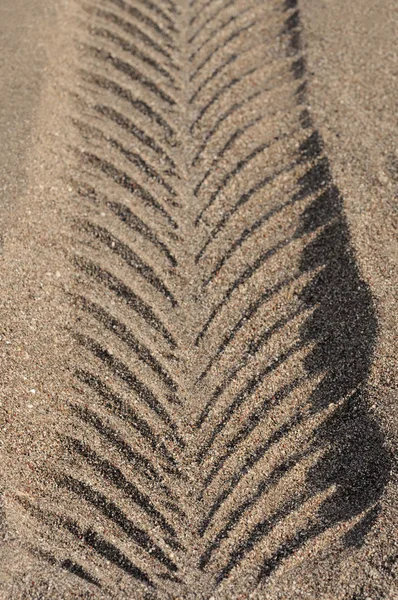 Fordon spår i sanden — Stockfoto