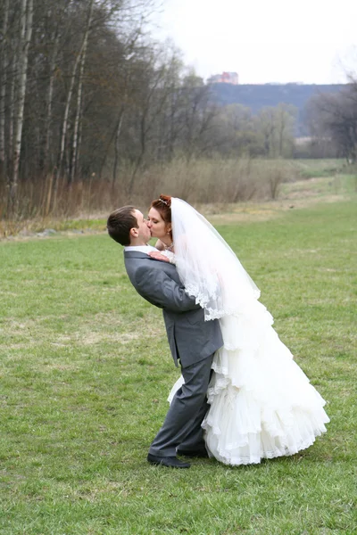 Wedding Couple — Stock Photo, Image