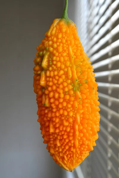Exotic fruit — Stock Photo, Image