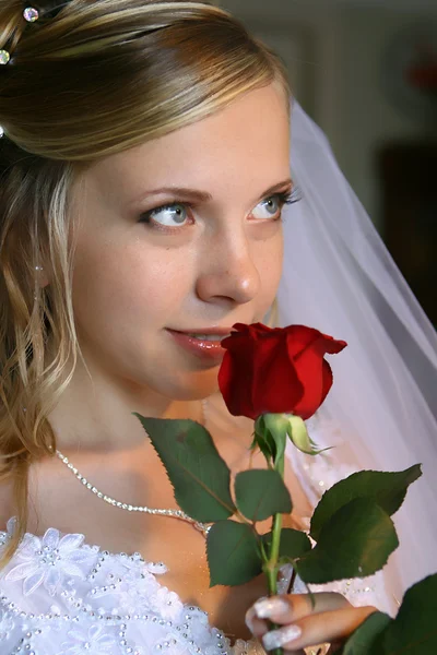 Bela noiva com rosa — Fotografia de Stock