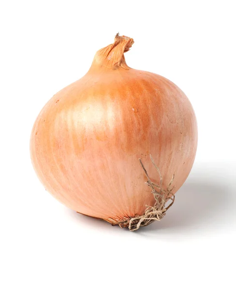 stock image Onion bulb isolated on white