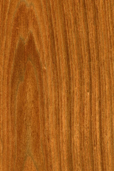 Vysoce detailní 17mpx texturu dřeva — Stock fotografie