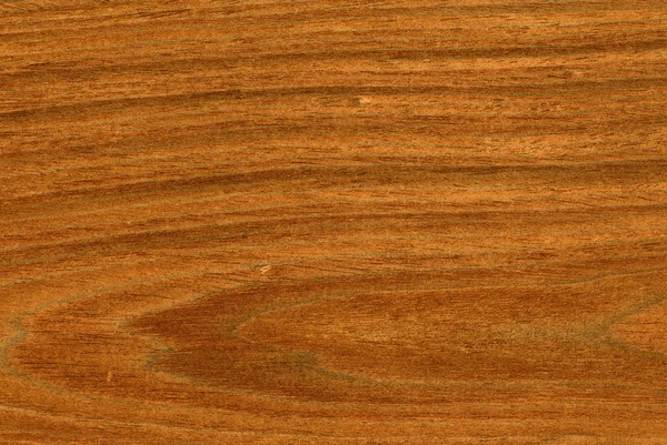 High-detailed 17Mpx wood texture — Stock Photo, Image