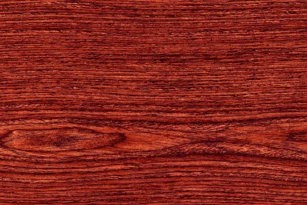 Texture de bois 17Mpx très détaillée — Photo