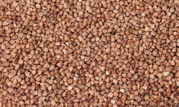 Sfondo di grano saraceno — Foto Stock