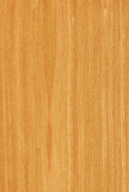 Oak (wood texture) clipart