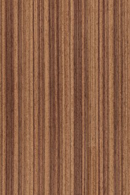 Walnut (wood texture) clipart