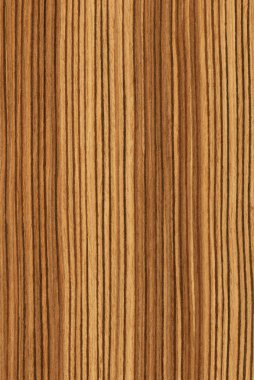 Zebrano (wood texture) clipart