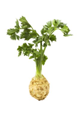 Root of celery with leaves isolated clipart