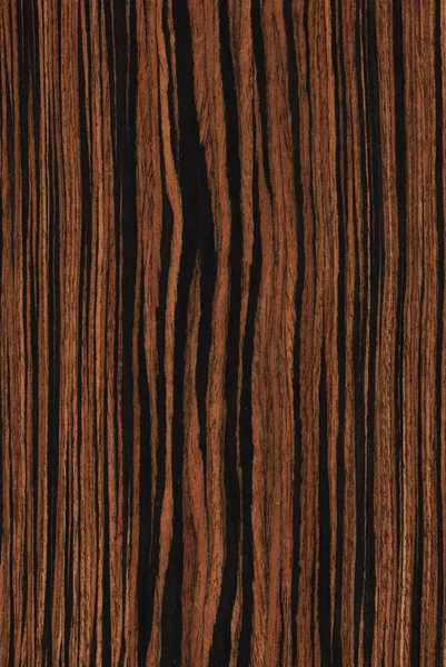 Eben (texturu dřeva) — Stock fotografie
