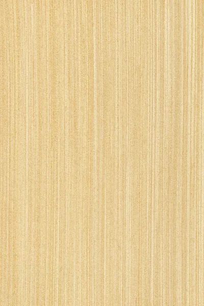 Maple (wood texture) — Stock Photo, Image