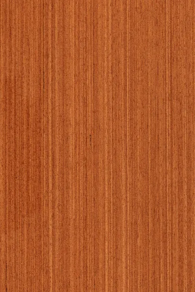 Meranti (textura de madera ) — Foto de Stock