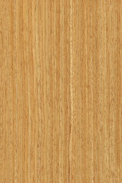 橡木 (木材纹理) — 图库照片