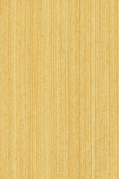Oak (wood texture) — Stock Photo, Image